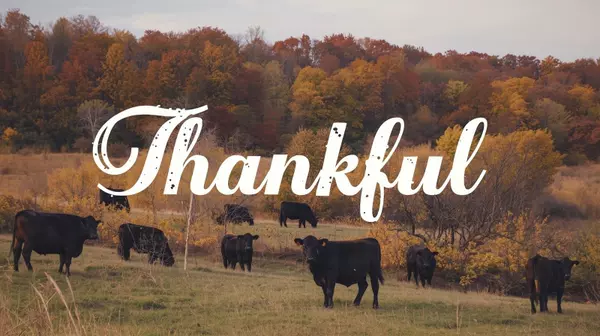 Home for the Holidays: Why I’m Thankful for Every Roof Over Every Head This Year