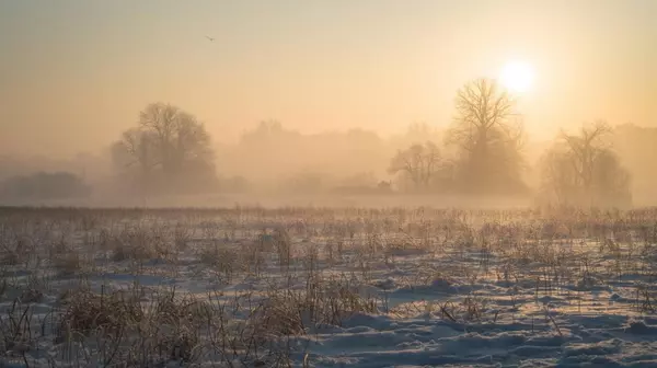 Why December 2025 Feels So Stressful: 69% of Us Are Hiding How We Really Feel