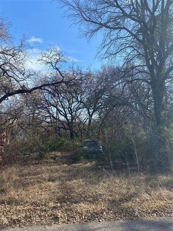 2927 Oak Wood Street, Granbury, TX 76048