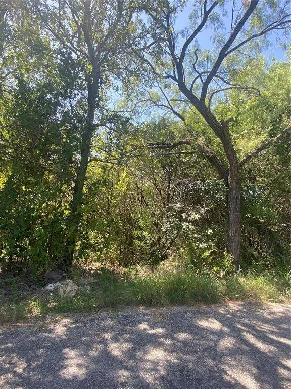 3401 Frontier Trail, Granbury, TX 76048