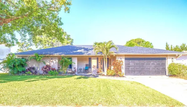 3138 FIESTA DR, Dunedin, FL 34698