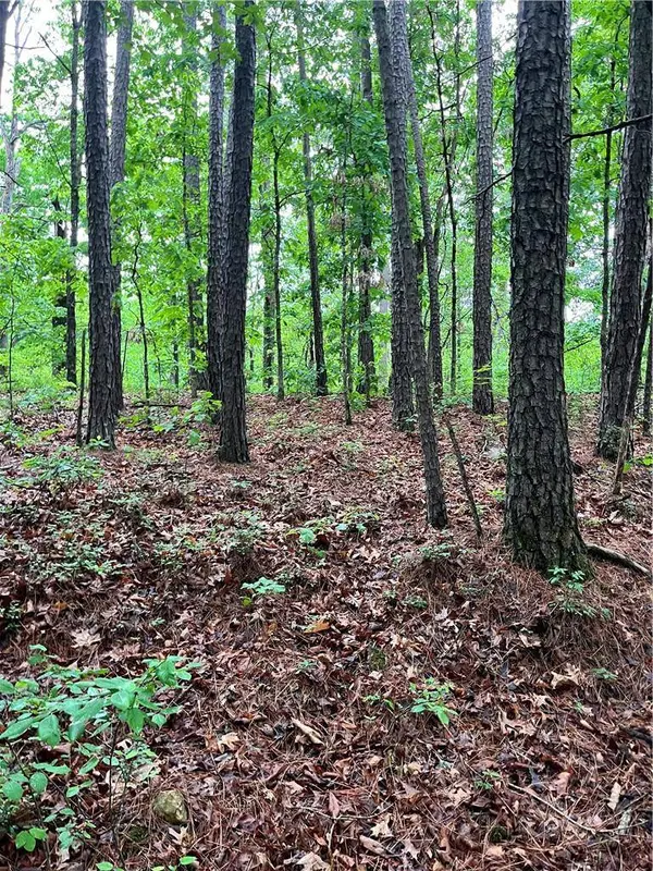 Dunholme Dr, Bella Vista, AR 72714