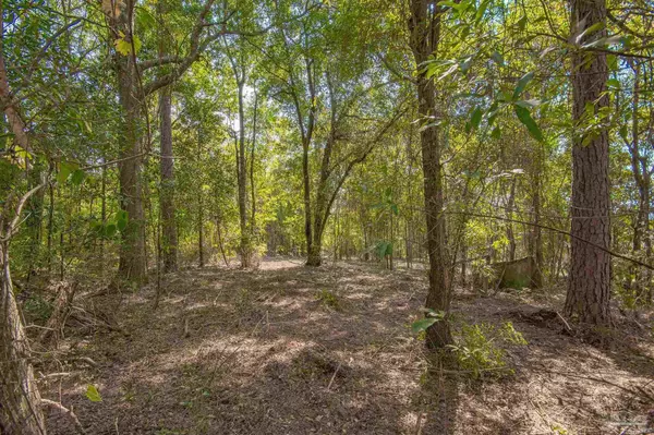 3200 Blk Schifko Rd, Cantonment, FL 32533