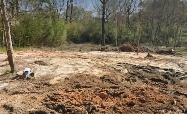 606 N Whitney ST, Geneva, AL 36340