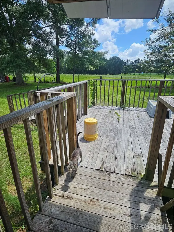 117 Buster Cowan RD, Geneva, AL 36340