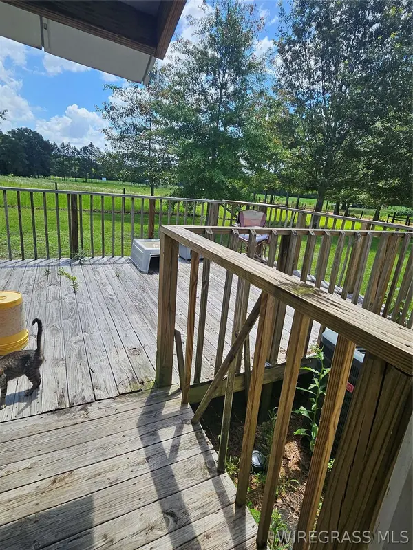 117 Buster Cowan RD, Geneva, AL 36340
