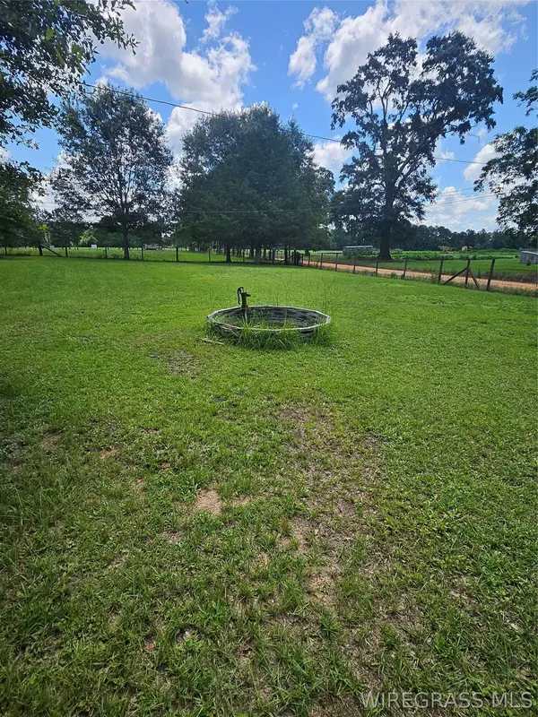 117 Buster Cowan RD, Geneva, AL 36340