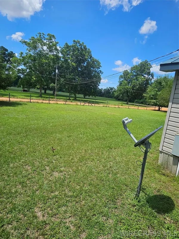 117 Buster Cowan RD, Geneva, AL 36340