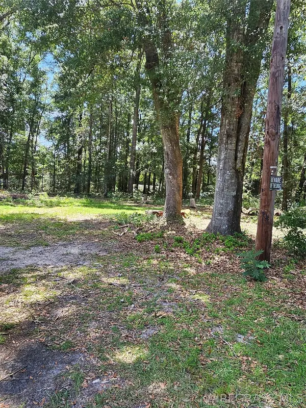 314 E Smith AVE, Geneva, AL 36340