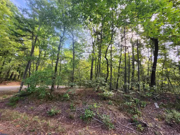 Quijote Circle, Hot Springs Village, AR 71909