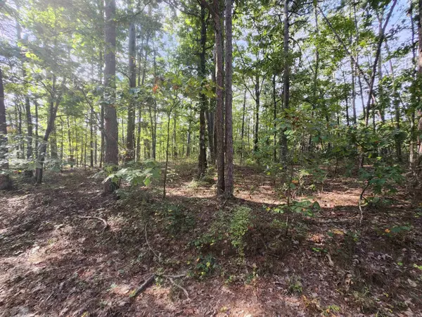 Quijote Circle, Hot Springs Village, AR 71909