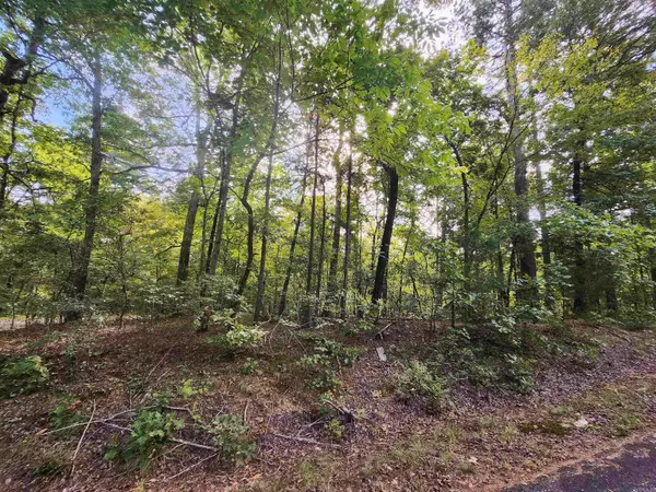 Quijote Circle, Hot Springs Village, AR 71909