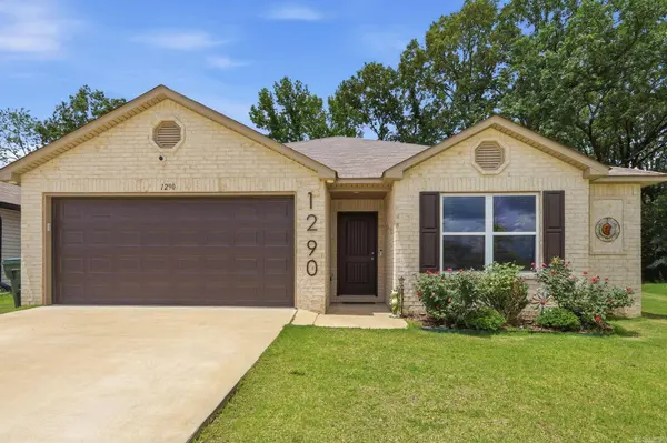 1290 Crotale Street, Conway, AR 72034