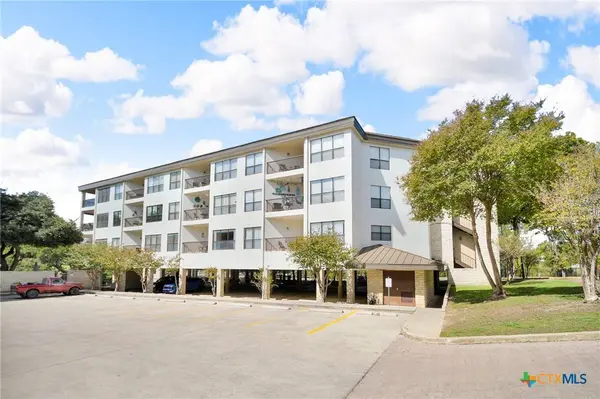 401 W Lincoln ST #A101, New Braunfels, TX 78130