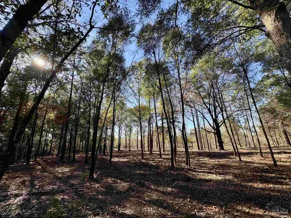 Adams Rd, Crestview, FL 32536