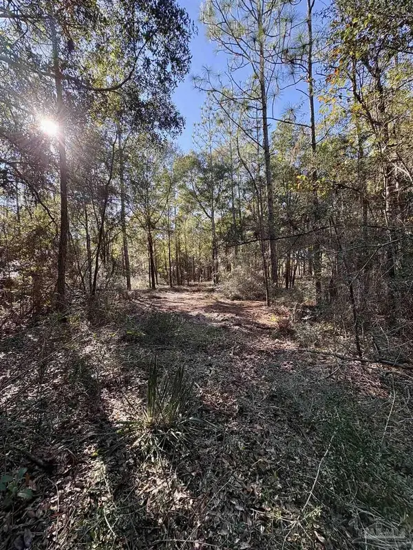 Adams Rd, Crestview, FL 32536