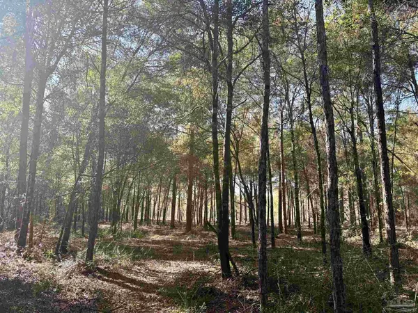 Adams Rd, Crestview, FL 32536