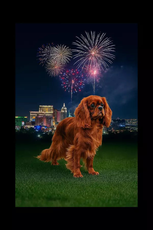 Tuesday Tips with Keli | Keeping Your Pets Safe This 4th of July 