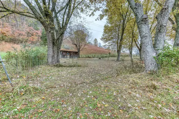 732 Shadowtown RD, Blountville, TN 37617