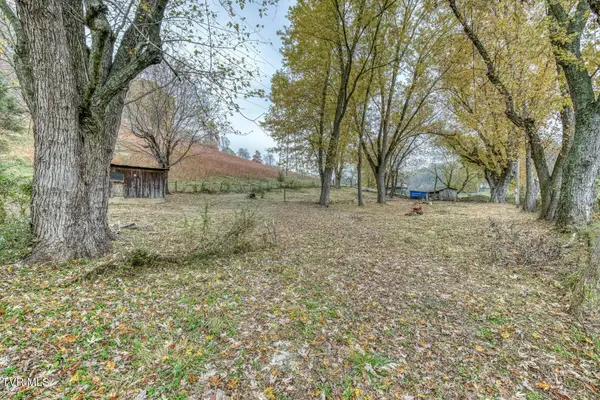 732 Shadowtown RD, Blountville, TN 37617