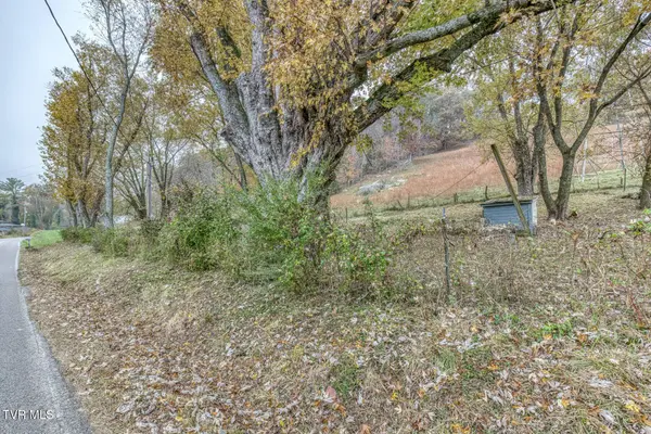 732 Shadowtown RD, Blountville, TN 37617