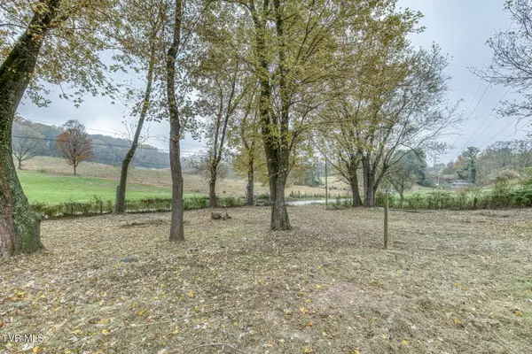 732 Shadowtown RD, Blountville, TN 37617