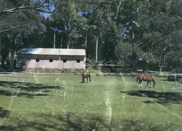 5-Acre Horse Property Is Hiding in the Middle of Savannah!