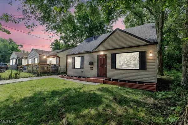 10012 Elizabeth AVE, Cleveland, OH 44105