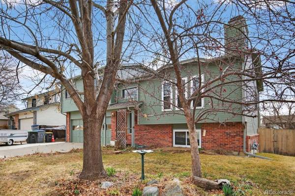 167 Mount Massive WAY, Longmont, CO 80504