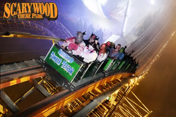 Scarywood Theme Park Haunted Nights