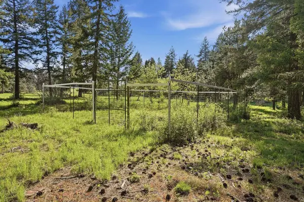 32223 N Whitetail Ln, Chattaroy, WA 99003