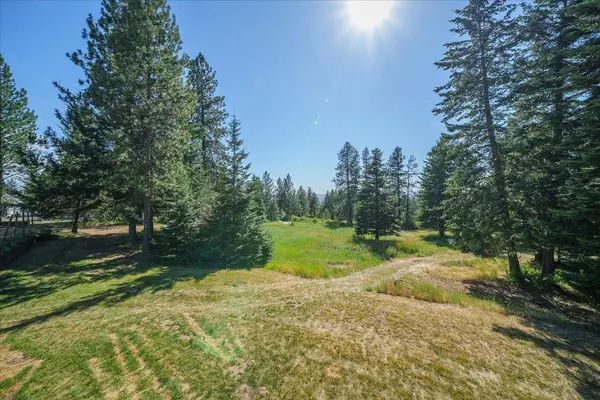15519 E Tallman Rd, Chattaroy, WA 99003