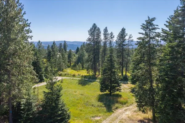 15519 E Tallman Rd, Chattaroy, WA 99003
