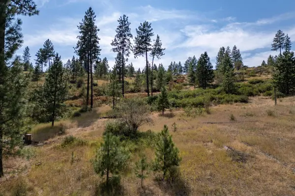 NKA N Valley Rd, Nine Mile Falls, WA 99026