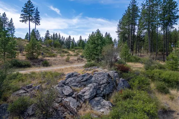 NKA N Valley Rd, Nine Mile Falls, WA 99026