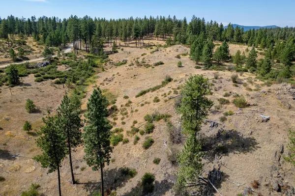 NKA N Valley Rd, Nine Mile Falls, WA 99026