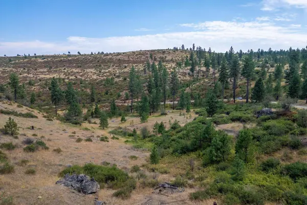 NKA N Valley Rd, Nine Mile Falls, WA 99026