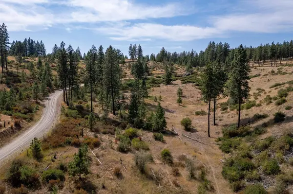 NKA N Valley Rd, Nine Mile Falls, WA 99026