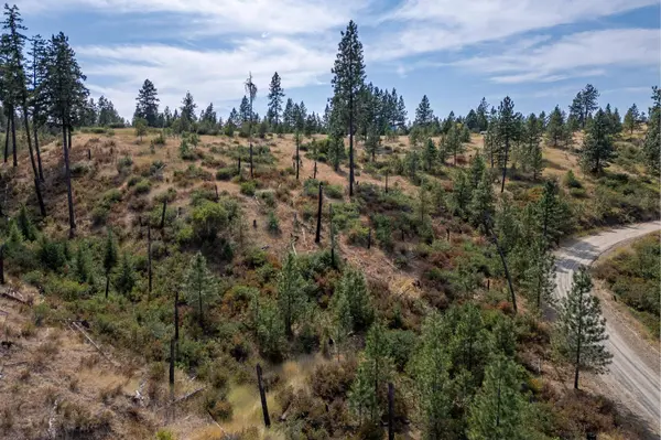 NKA N Valley Rd, Nine Mile Falls, WA 99026