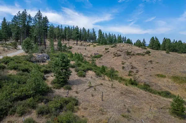 NKA N Valley Rd, Nine Mile Falls, WA 99026