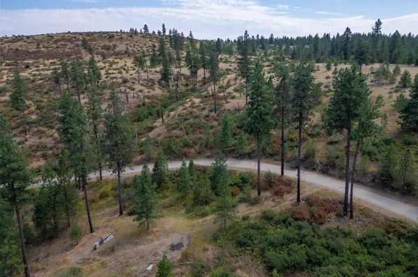 NKA N Valley Rd, Nine Mile Falls, WA 99026