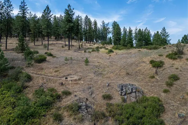NKA N Valley Rd, Nine Mile Falls, WA 99026