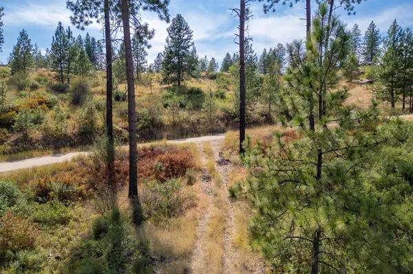 NKA N Valley Rd, Nine Mile Falls, WA 99026