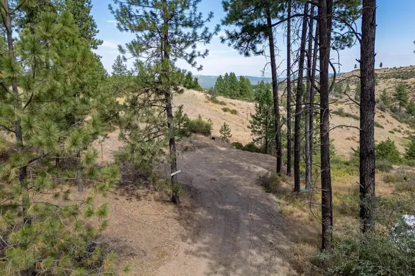 NKA N Valley Rd, Nine Mile Falls, WA 99026