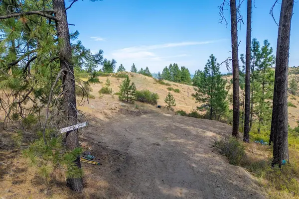 NKA N Valley Rd, Nine Mile Falls, WA 99026
