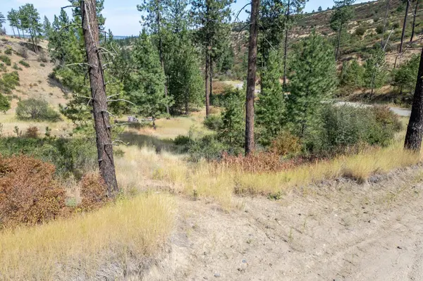 NKA N Valley Rd, Nine Mile Falls, WA 99026