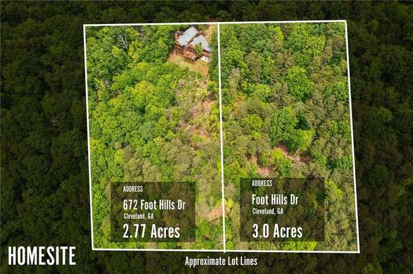 672 Foot Hills DR, Cleveland, GA 30528