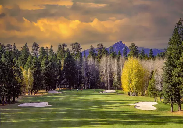 Golfers