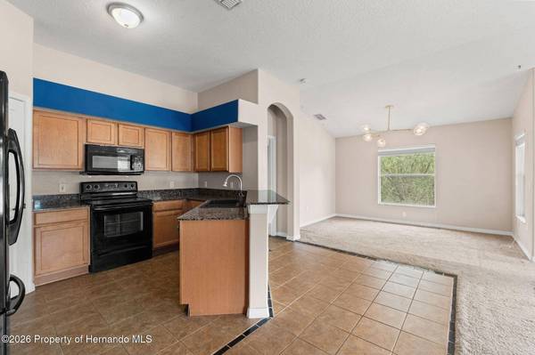 4490 Ayrshire Drive, Spring Hill, FL 34609