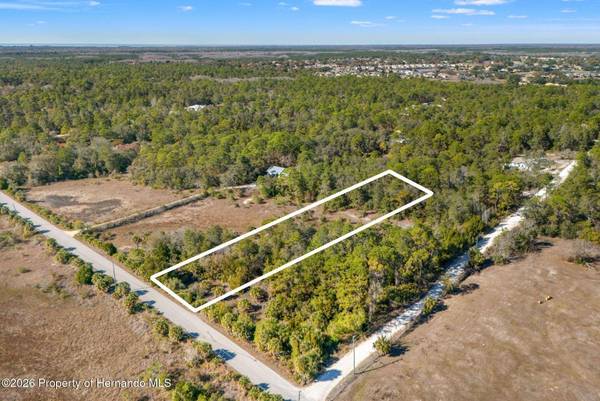 0 Long Lake Avenue, Weeki Wachee, FL 34613